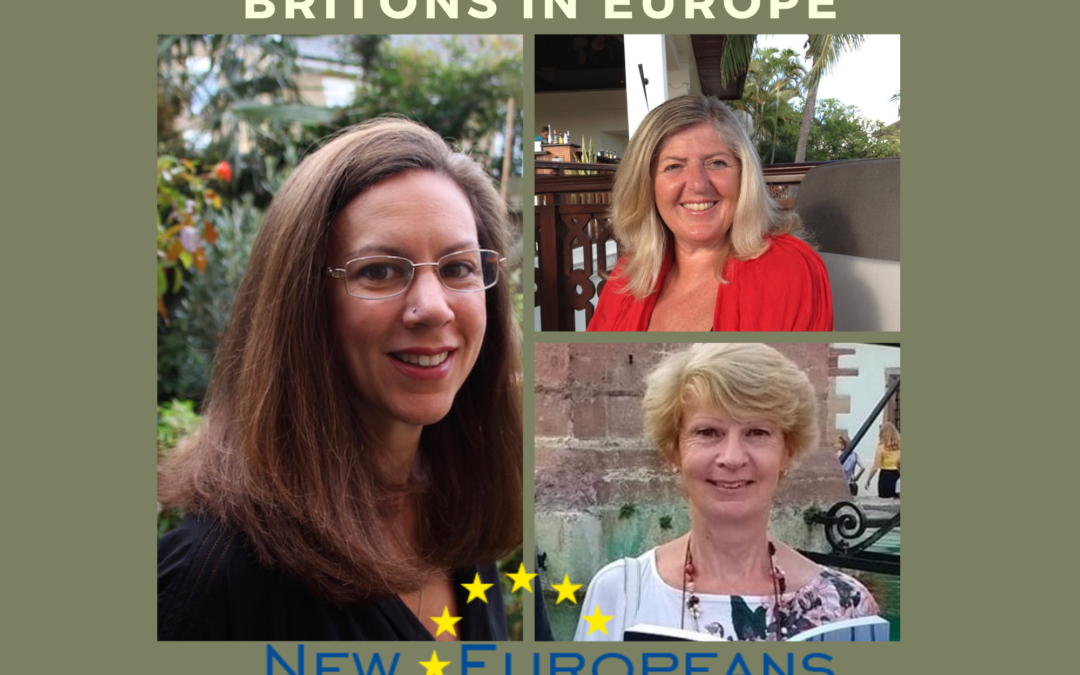 Watch our APPG on Britons in Europe