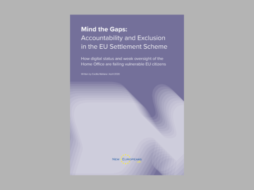 Mind the Gaps: Accountability and Exclusion in the EU Settlement Scheme